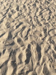 ripples in the sand