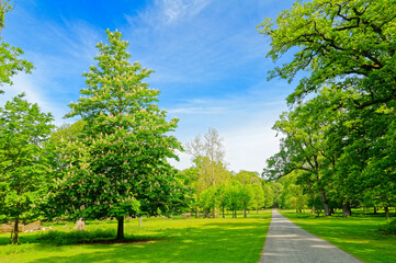 Hannover Tiergarten