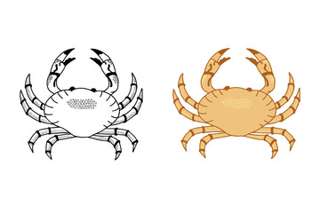 Vector illustration of a crab. Black outline of a sea animal. Colored design of marine life. Concept logo and icon in two versions.