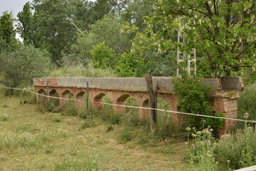 Naturaleza, árboles, troncos rotos, estragos de filomena, blanco y negro, melancolía