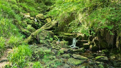 Waterfall in the forest