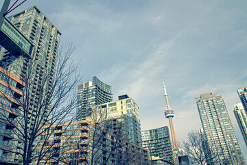 Fototapeta na wymiar Toronto Cityscape Condos and Buildings CN Tower
