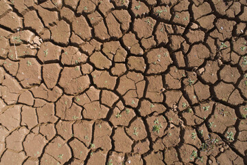 Terra seca e rachada por falta de água formando desenhos regulares. 