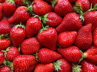 Flatlay from a large number of strawberries. Natural background.
