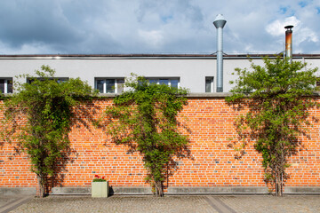 Mur z czerwonej cegły z roślinnością i budynkiem z kominami - obrazy, fototapety, plakaty