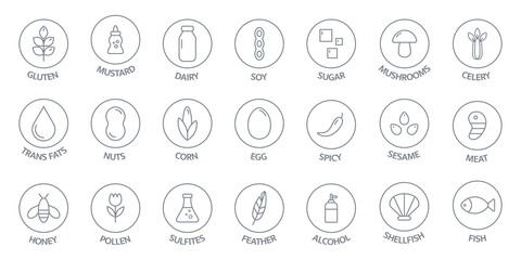 Allergen line icon big set. Nut, corn, milk, honey, gluten mustard, gmo sesame, lactose fish, egg mollusk free. Organic and natural food labels. Allergy warning ingredients. Vector illustration