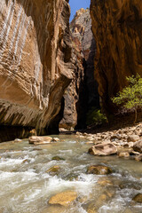 A view from the middle of the narrows