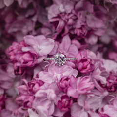 White gold engagement ring with a diamond lying among pink lilac flowers. An elegant floral wedding...