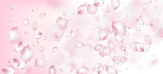 Cherry Sakura Petals Confetti. Blooming Cosmetics Ad Female Flower