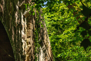 Old railway bridge in forest