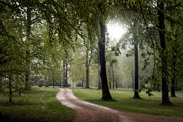 Fototapeta na wymiar Empty wet footpath in the park after the rain, surrounded by lush green trees. Sunshine is starting to come through the clouds on this summer morning. Photo taken in Helsingborg, Sweden.