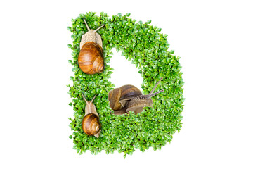 The letter D is made of grass and snails
