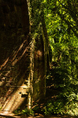 Old railway bridge in forest