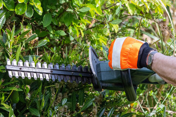 Using a miniature chainsaw to trim down hedges