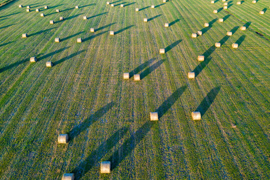 Aerial view of rolls of hay in a pasture, view of an endless field in countryside in Kenansville, Florida, United States.