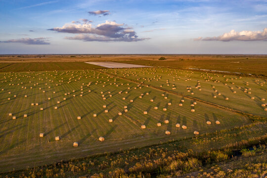 Aerial view of rolls of hay in a pasture, view of an endless field in countryside in Kenansville, Florida, United States.
