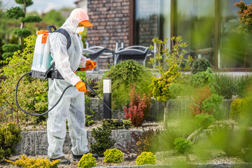 Garden in Protection Suit Spraying Garden Plants with Active Chemicals