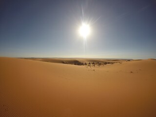 sunset in the desert