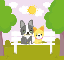 dogs sitting on bench