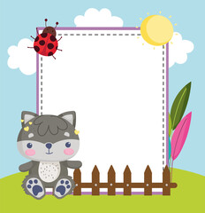 stuffed raccoon animal