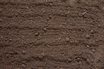 texture of black soil, soil, manure, fertile land top view, concept of agriculture, farming, garden...