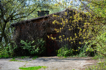 Fort wojskowy z I Wojny Światowej  © Dariusz Grochal 