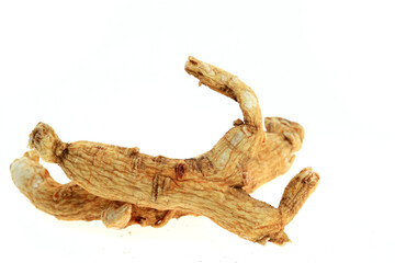 Ginseng on a white background