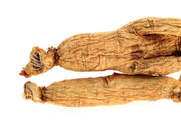 Ginseng on a white background