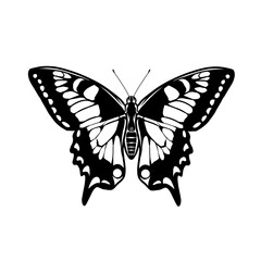 Plakat Butterfly silhouette icons. Vector Illustrations.