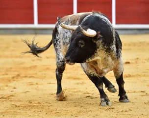 Fotobehang un toro español con grandes cuernos en una plaza de toros en un espectaculo de toreo © alberto