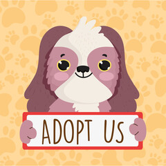 cute dog adopt us