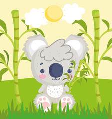 cute koala on grass
