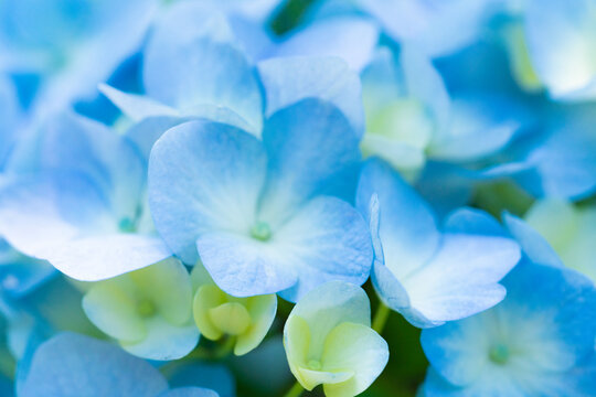 梅雨イメージ Images Browse 1 937 Stock Photos Vectors And Video Adobe Stock