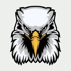 Eagle Head Mascot in Cartoon Style