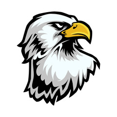 Eagle Head Mascot in Cartoon Style