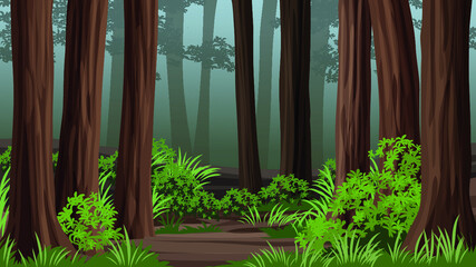 Forest landscape illustration