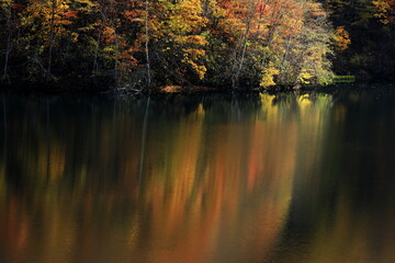 北海道森町鳥崎八景の紅葉
