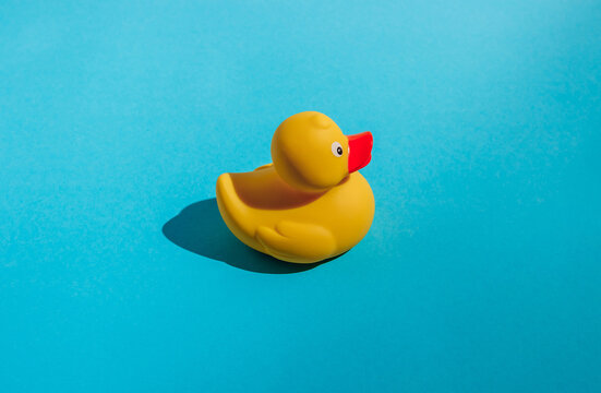 Yellow rubber duck on blue background. Creative minimal composition. sunlight, harsh shadows