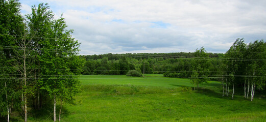 Green meadow with trees and sky. Horizon