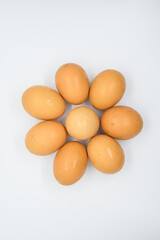 Circle of eggs