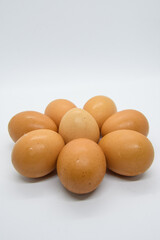 Circle of eggs