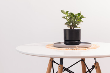 Decoración minimalista al estilo nórdico con naturaleza muerta y flores sobre mesas y sofá