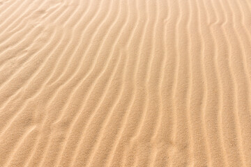 Fototapeta na wymiar Texture of the sand dune in the desert of Qatar