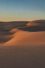 Fototapeta na wymiar Patterns in the sand dunes in afternoon sunlight - Port Stephens, NSW, Australia