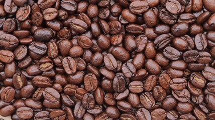 coffee beans background