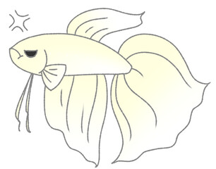 不機嫌なベタ（白色）