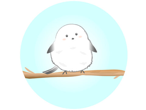 803 Best シマエナガ Images Stock Photos Vectors Adobe Stock