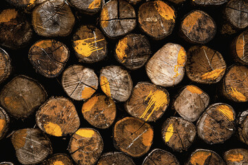 Logs with the old surface.