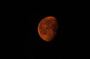 Blood moon of May 2021 as seen from Florida.