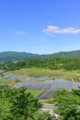田植え　山形県　椹平の棚田